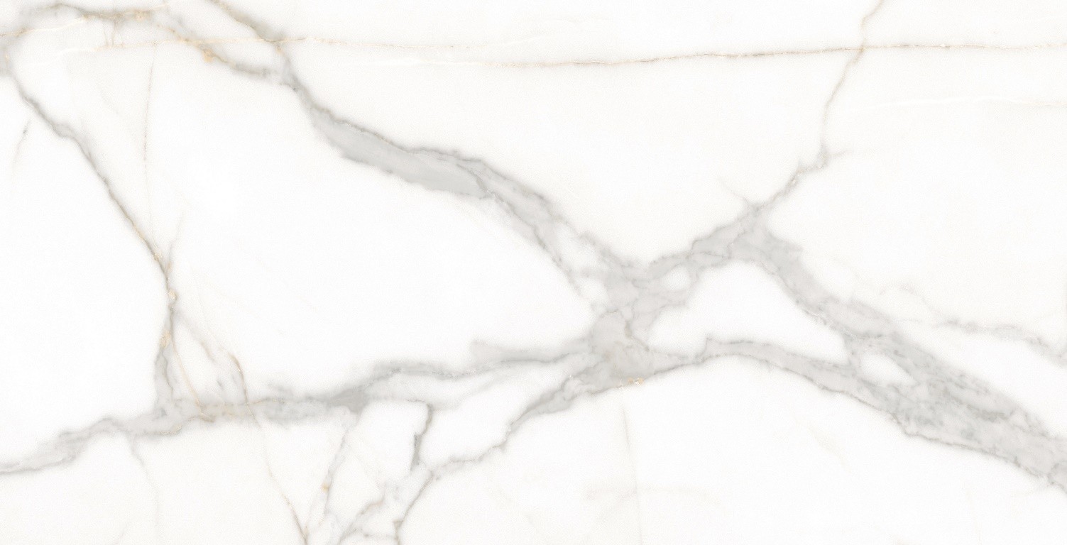 Plazzo Blanco Silk